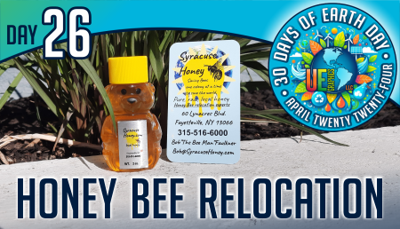 Day Twenty-Six - Local company relocates honey bees - New earthy ideas