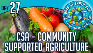 Day Twenty-Seven - Community Supported Agriculture